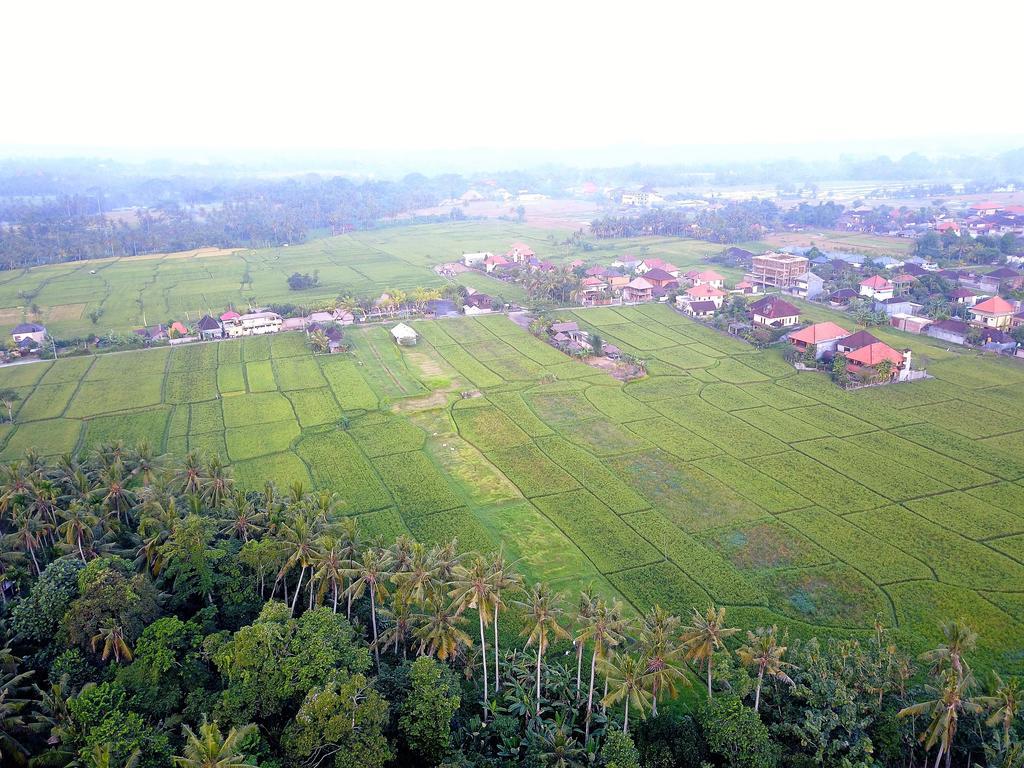 Pangkung Sari Hotel อูบุด ภายนอก รูปภาพ