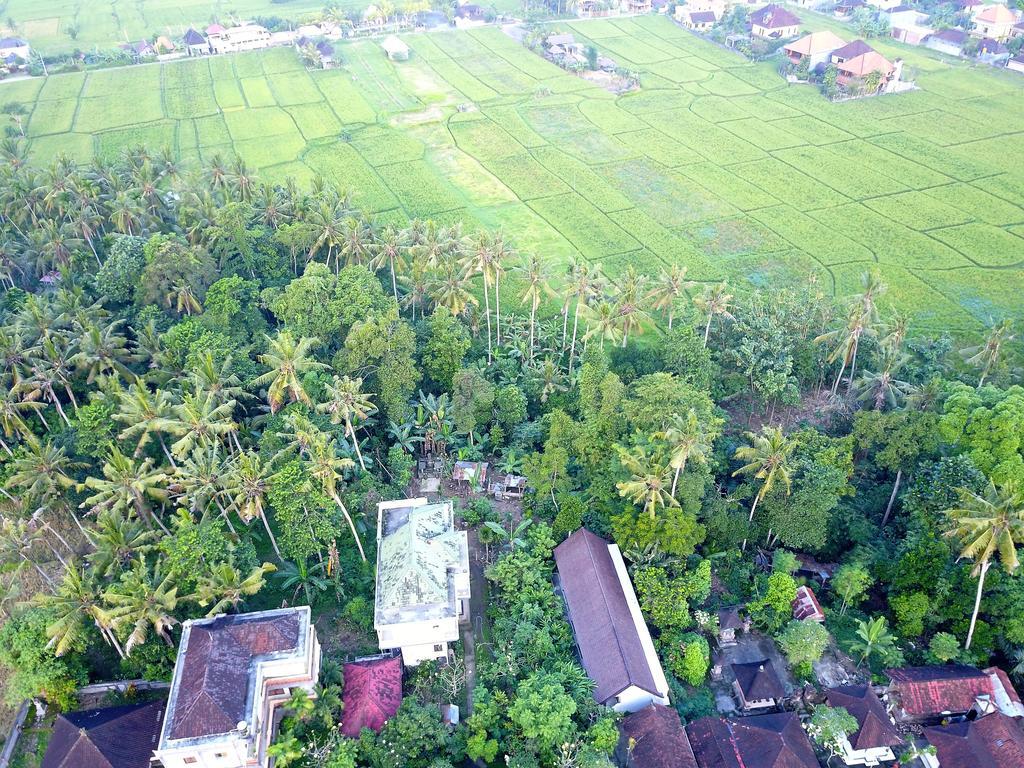 Pangkung Sari Hotel อูบุด ภายนอก รูปภาพ